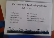 Galerie photo 
